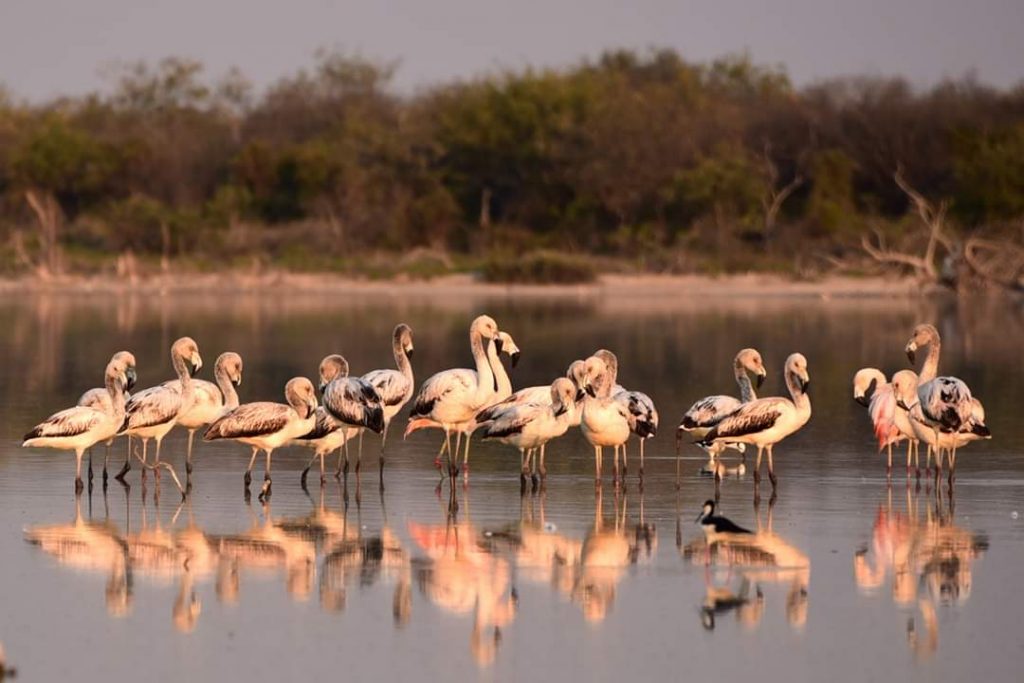 Mitad de semana con buen tiempo y vientos variables