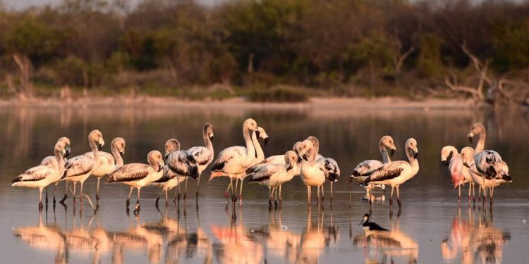 Mitad de semana con buen tiempo y vientos variables