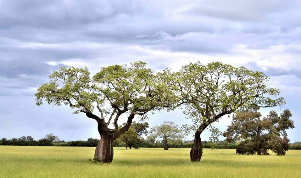 Mitad de semana con temperaturas calurosas y precipitaciones leves