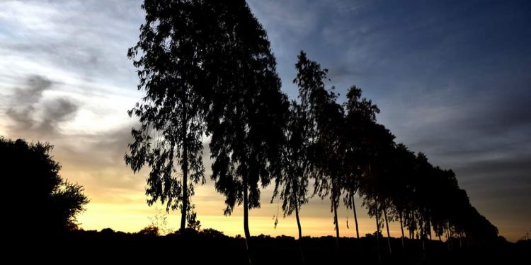 Lunes con pronóstico de lluvia