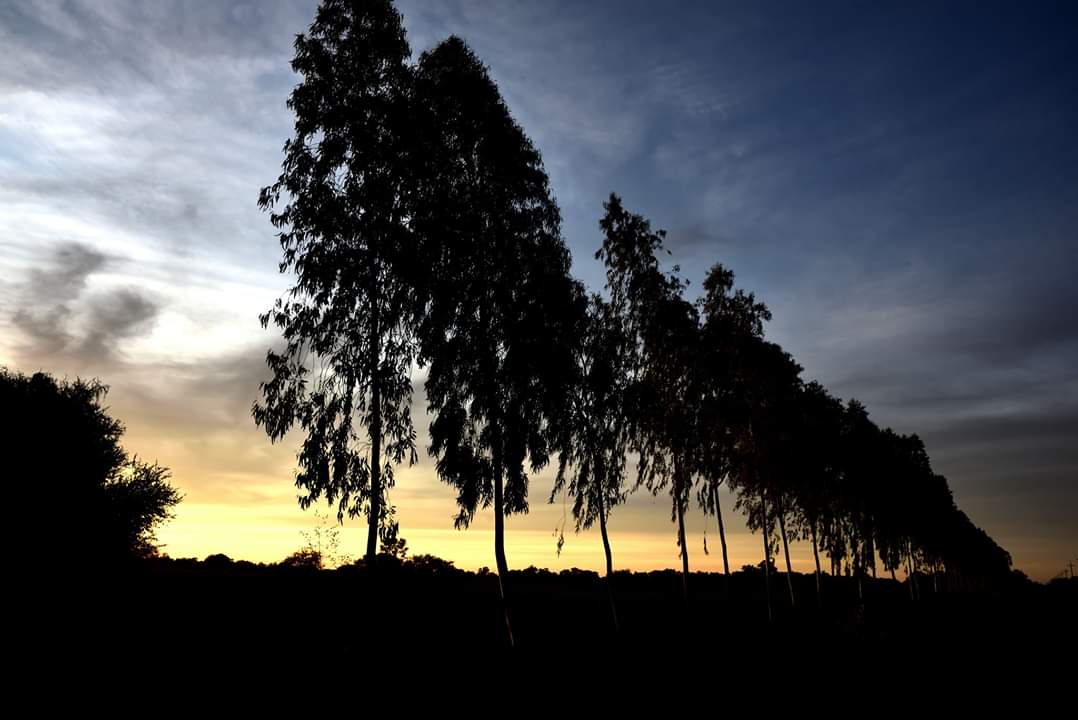 Lunes con pronóstico de lluvia