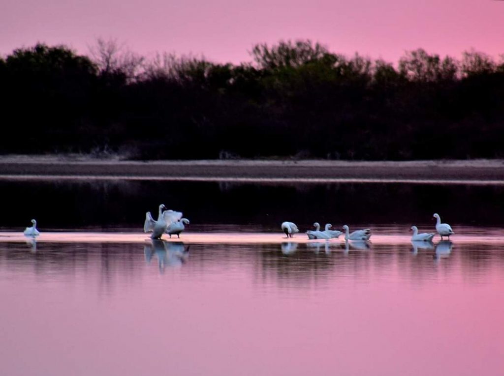 Se anuncia un martes fresco a cálido y sin lluvias