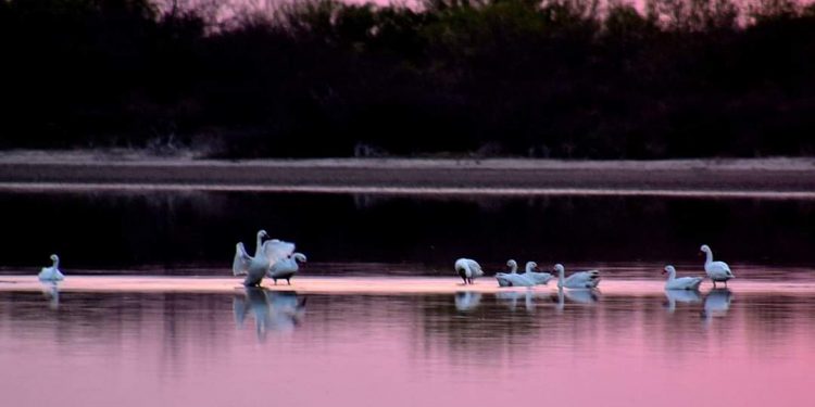 Se anuncia un martes fresco a cálido y sin lluvias