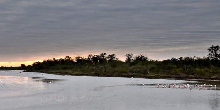 Miércoles con temperaturas frías y vientos del sur