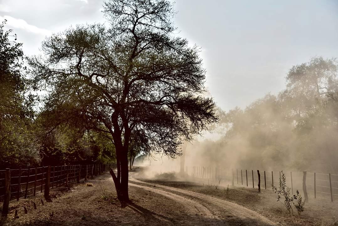 Se anuncia una mañana fría y tarde cálida para hoy