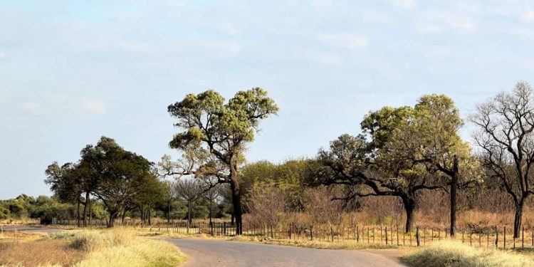 Se pronostica una jornada fresca con vientos del sureste Se pronostica una jornada fresca con vientos del sureste
