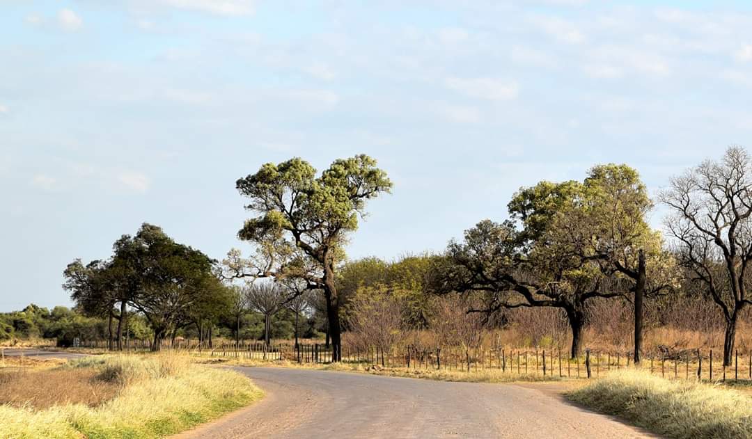Se pronostica una jornada fresca con vientos del sureste