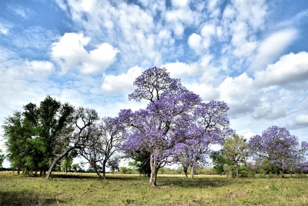 Se pronostica viernes con buen tiempo y una temperatura máxima de 28 grados