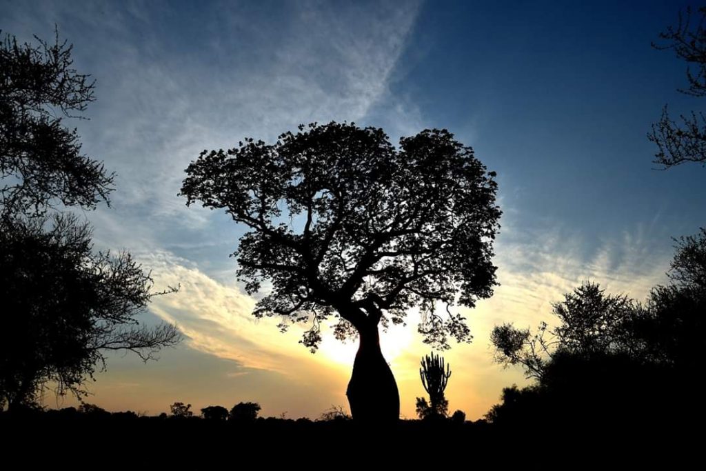 Para hoy continúa el clima caluroso con vientos moderados del norte