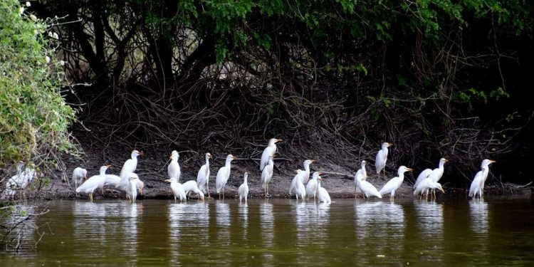 Mitad de semana con clima frío e inestable