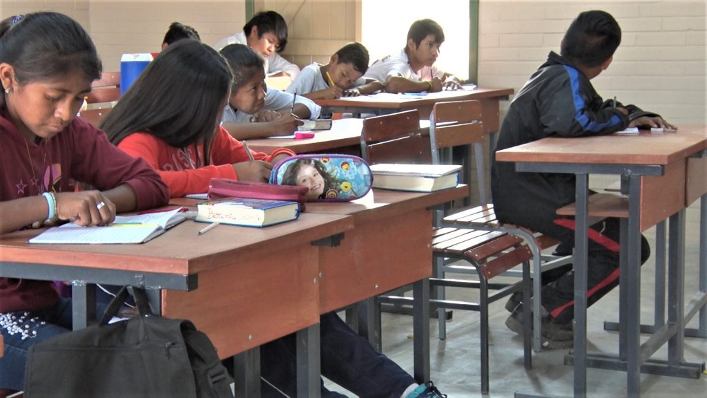 Educación: «Pese a buenas intenciones, se generan más desigualdades»