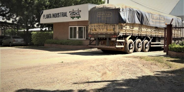 Cooperativa Fernheim ha logrado acopiar más de 5.000 toneladas de sésamo en sequía