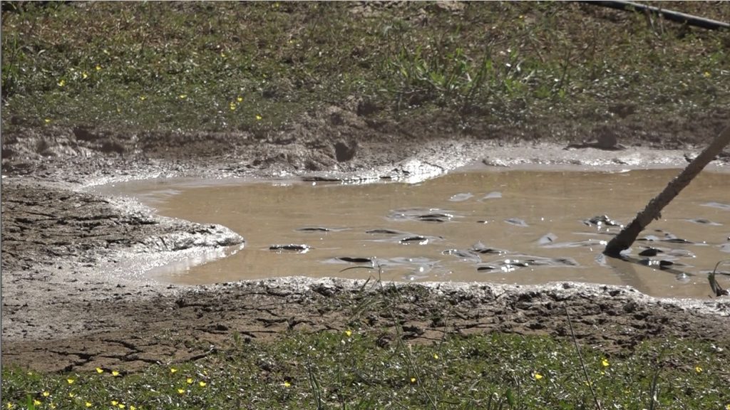 Población chaqueña preocupada ante la escasez de agua por falta de lluvias