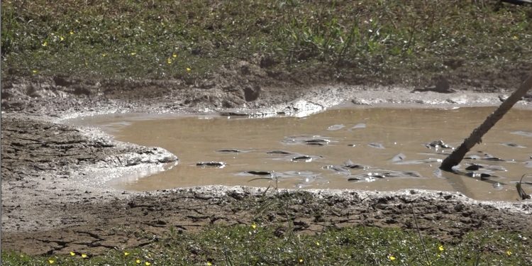 Población chaqueña preocupada ante la escasez de agua por falta de lluvias