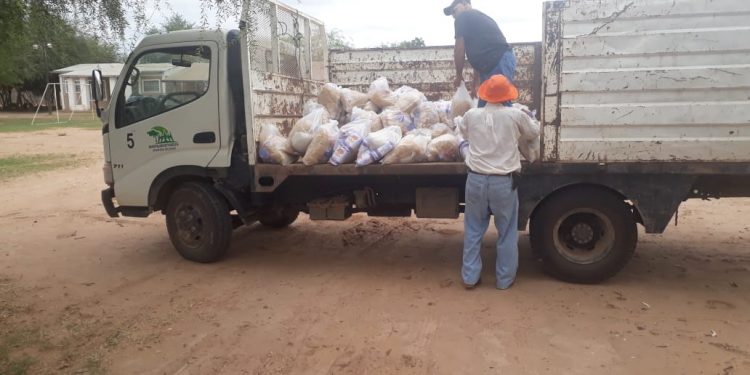 Almuerzo escolar: Concluyó primera entrega de 500 kits de alimentos en Filadelfia Almuerzo escolar: Concluyó primera entrega de 500 kits de alimentos en Filadelfia