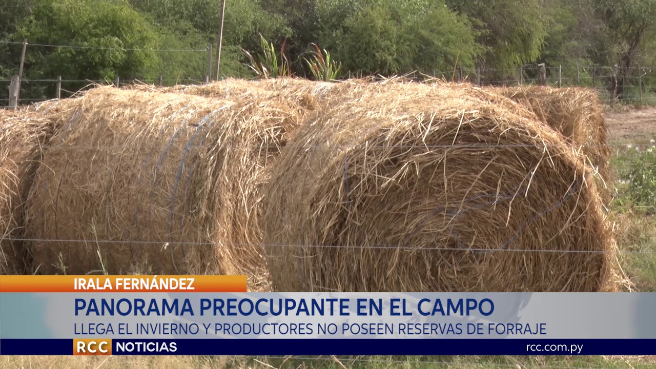 Panorama preocupante para los próximos meses para productores del Chaco.