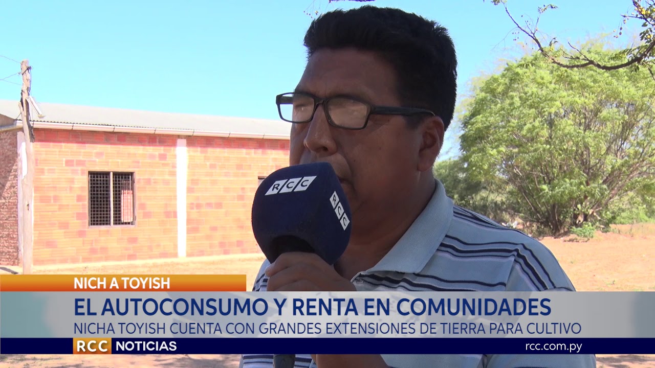 NICHA TOYISH ES UNA COMUNIDAD QUE CUENTA CON ENORMES HECTÁREAS DE TIERRA EN EL CHACO