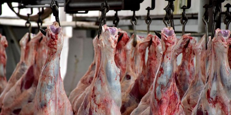¿Por qué el precio de la carne no bajó en el mercado local a pesar de la crisis?