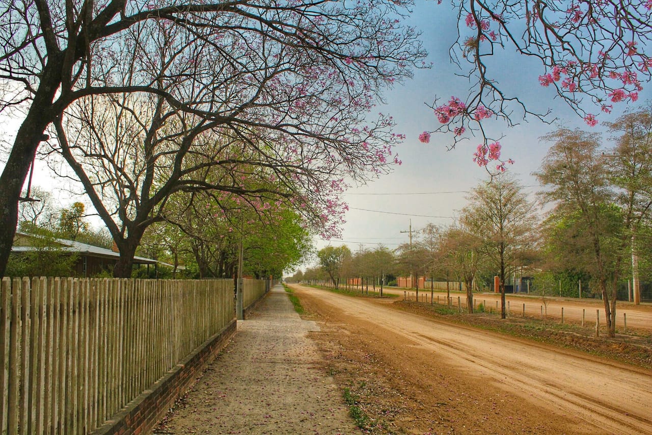 Se anuncian temperaturas en ascenso con vientos del noreste