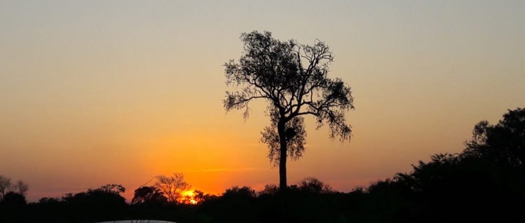 Pronostican un viernes con temperaturas agradables y vientos del noreste