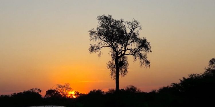 Pronostican un viernes con temperaturas agradables y vientos del noreste