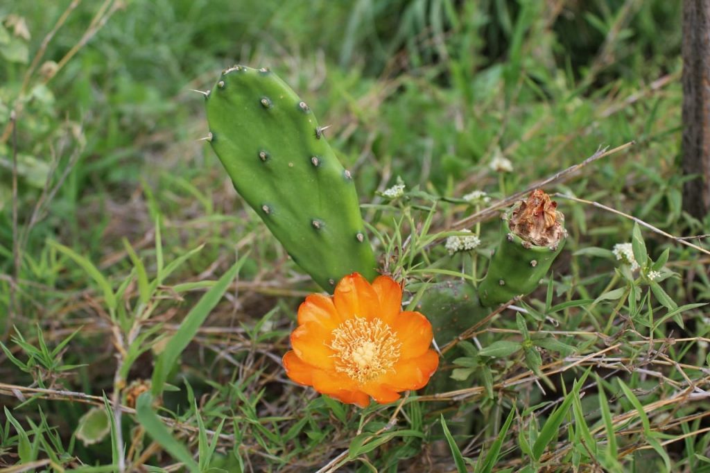 Para hoy viernes se esperan temperaturas agradables sin lluvias Para hoy viernes se esperan temperaturas agradables sin lluvias