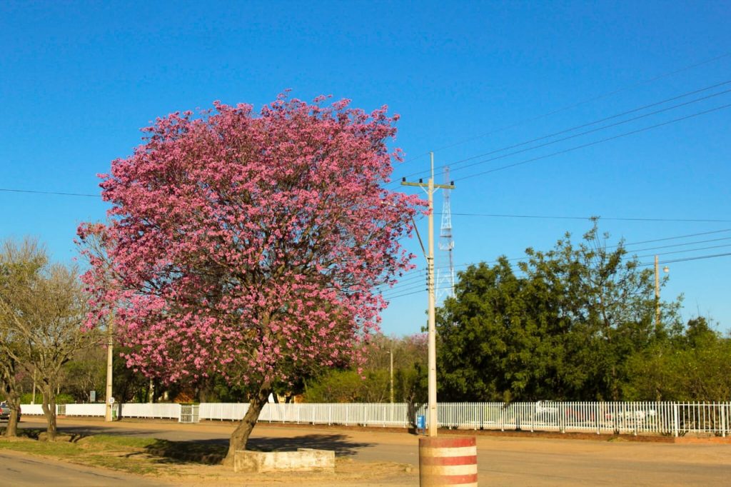 Miércoles con frío y luego cálido con vientos del noreste Miércoles con frío y luego cálido con vientos del noreste