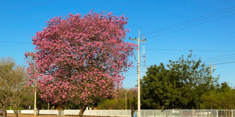Miércoles con frío y luego cálido con vientos del noreste