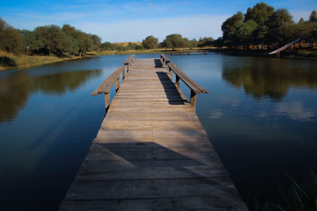 Se pronostica gradual ascenso de las temperaturas para los próximos días