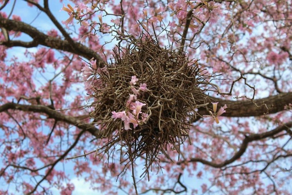 Anuncian tiempo frío con vientos del sur