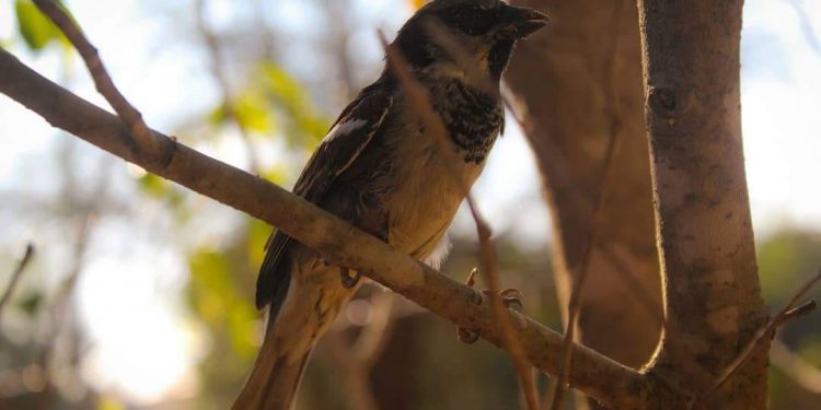 Se espera un lunes fresco con precipitaciones dispersas