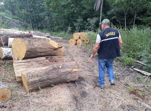 MADES documentará procedimientos por medio de filmaciones e informes MADES documentará procedimientos por medio de filmaciones e informes