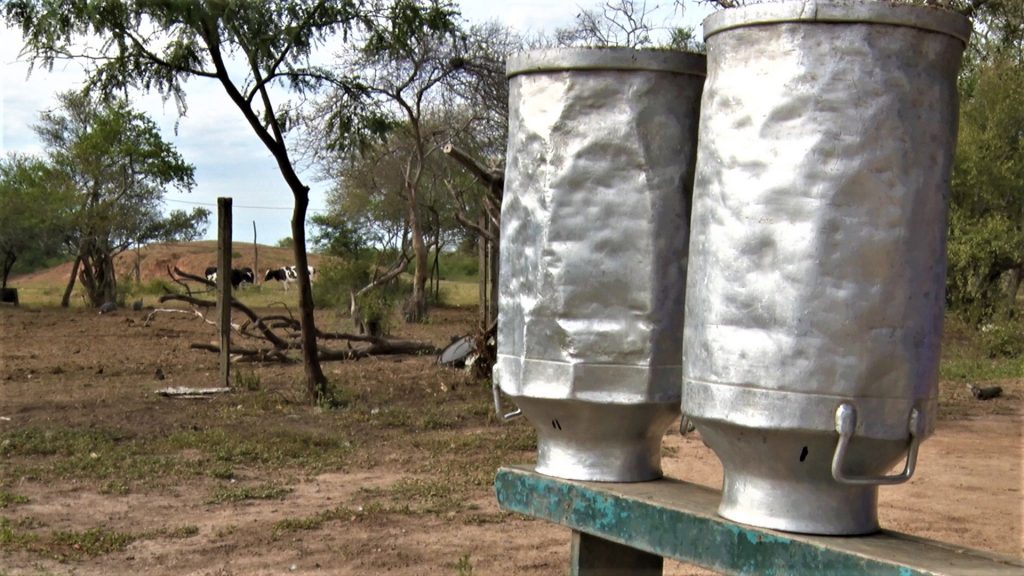 Chaco: Instan a productores de leche a luchar y seguir produciendo ante la crisis actual Chaco: Instan a productores de leche a luchar y seguir produciendo ante la crisis actual