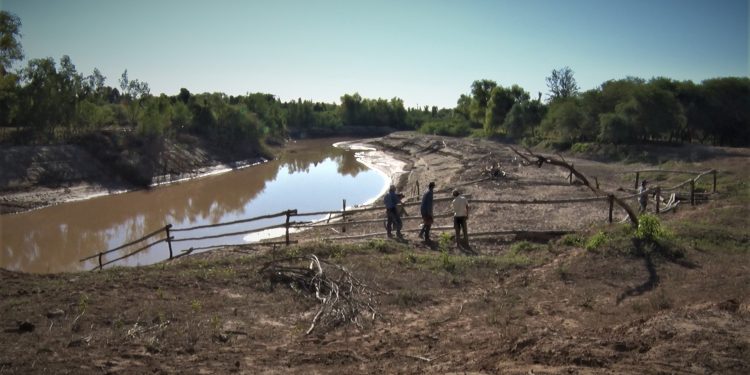 Productores de Margariño hacen cruzar el ganado por el rio en busca de tierras con pasto