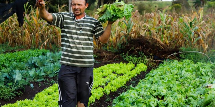 Participantes de Tekoporã reinventan su economía con huertas familiares Participantes de Tekoporã reinventan su economía con huertas familiares