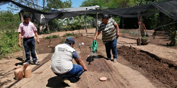 Entregan semillas e insumos para fortalecer la agricultura familiar en Boquerón