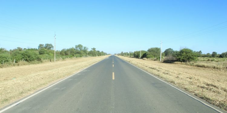 Municipalidad realizó limpieza de franja de dominio de las rutas de acceso