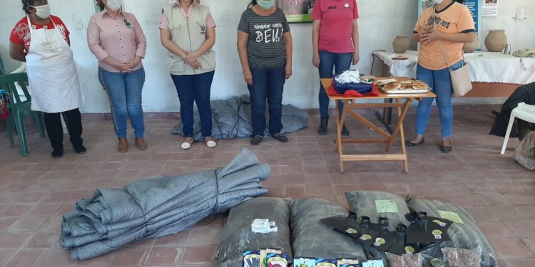 Continúan con la entrega de semillas para huertas familiares en Boquerón