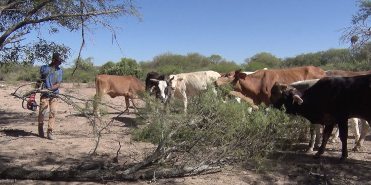 Gobierno y articulación campesina e indígena acuerdan reasignación de fondos para la producción