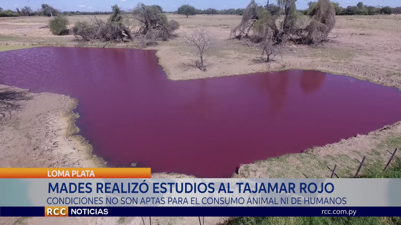 EXTRAÑO FENÓMENO TIÑE DE ROJO UN RESERVORIO DE AGUA EN EL CHACO PARAGUAYO.