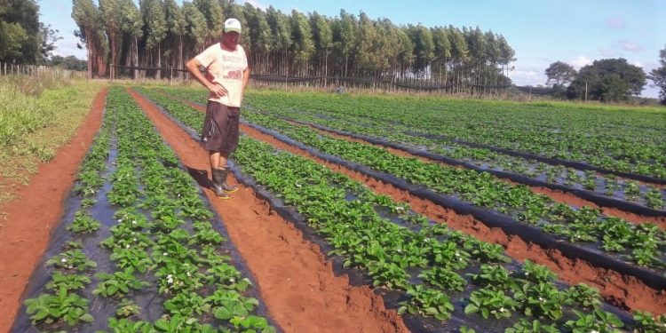 Crédito Agrícola logró recaudar G. 165.000 millones mediante el pago puntual de sus clientes