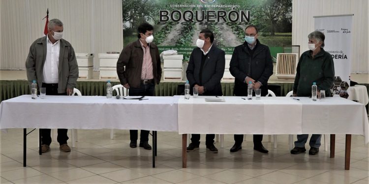 Proyecto incluirá a 250 familias del Chaco para potenciar cadena de valor de la miel