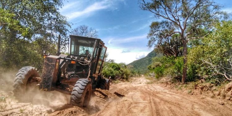 Inician apertura de picadas entre los Hitos VI y VII en la frontera con Bolivia