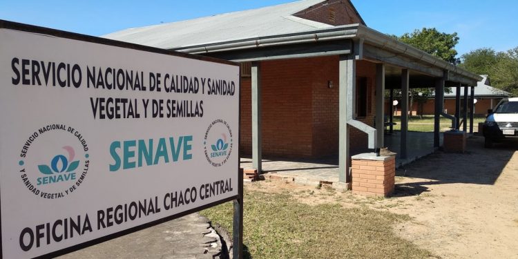 Monitoreos de SENAVE continúan en el Chaco pese a pandemia