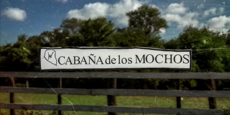 Cabaña de los Mochos: Tras 45 años de selección genética en el Chaco, preparan una Feria de Reproductores virtual