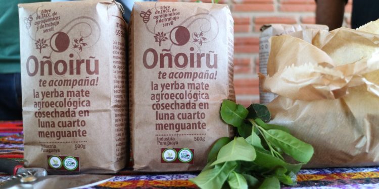 Exportarán 24 mil kilogramos de yerba mate a Estados Unidos