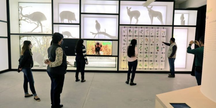 Reactivan el turismo y buscan generar seguridad en visitantes internos