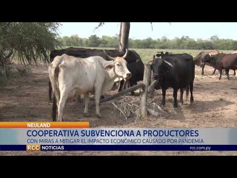 COOPERATIVA NEULAND SUBVENCIONA A PRODUCTORES PARA MITIGAR IMPACTO ECONÓMICO