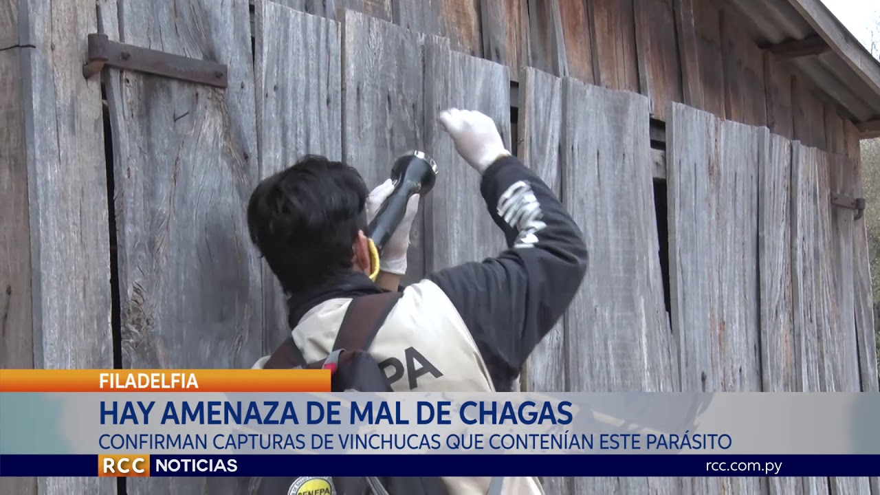 AMENAZA EL MAL DE CHAGAS EN FILADELFIA
