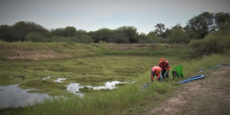 Severa sequía apremia asistencias de la SEN en comunidades del Chaco